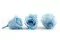 Preserved Rose M Light Blue (x12) 4