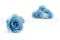 Konservierte Rose M Hellblau (x12) 7