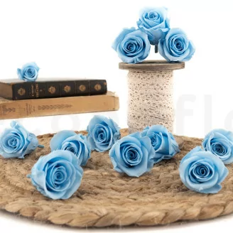 Rose stabilis&eacute;e M Bleu Clair (x12)