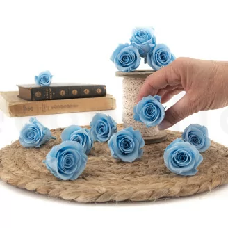Konservierte Rose M Hellblau (x12)