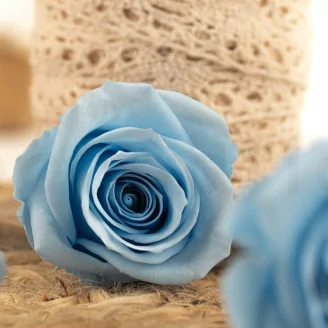 Rosa stabilizzata M Blu chiaro (x12)