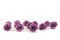 Rose stabilis&eacute;e M Lilas (x12) 6