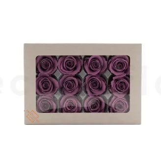 Rosa stabilizzata M Lilla (x12)