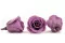 Rose stabilis&eacute;e M Lilas (x12) 4