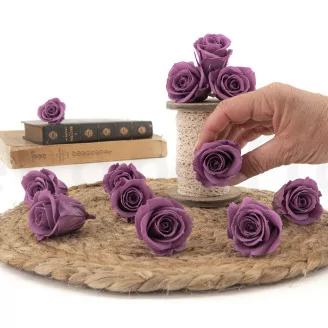 Rosa preservada M Lila (x12)