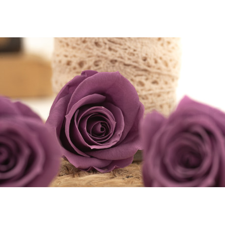 Preserved rose Verdissimo M - Box of 12 - Lilac