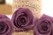 Konservierte Rose M Lila (x12) 3