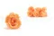 Preserved Rose M Peach (x12) 7