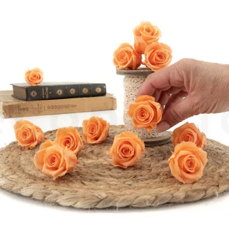 Rosa stabilizzata M Pesca (x12)