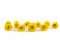 Rose stabilis&eacute;e M Jaune Clair (x12) 6