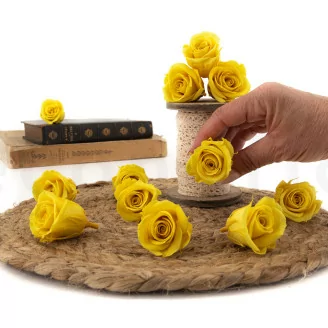 Rosa preservada M Amarillo Claro (x12)