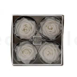 Konservierte Rose Premium Wei&szlig; (x4)