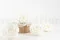 Rosa stabilizzata Premium Bianco (x4) 2