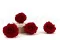 Preserved Rose Premium Red (x4) 2