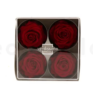 Konservierte Rose Premium Rot (x4)