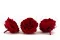 Rose stabilis&eacute;e Premium Rouge (x4) 4