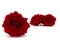 Rosa stabilizzata Premium Rosso (x4) 7