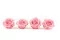 Rose stabilis&eacute;e Premium Rose Pastel (x4) 6