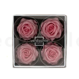 Rosa preservada Premium Rosa Pastel (x4)
