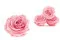Rose stabilis&eacute;e Premium Rose Pastel (x4) 7