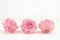 Rosa preservada Premium Rosa Pastel (x4) 4