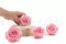 Rose stabilis&eacute;e Premium Rose Pastel (x4) 5