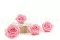 Rosa preservada Premium Rosa Pastel (x4) 2