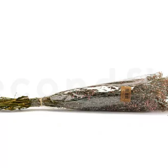 Preserved Gypsophila Dusty Rose