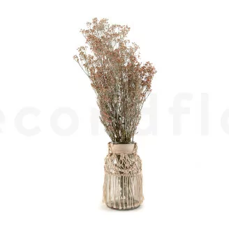 Gipsofila preservada Rosa Empolvado