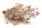 Gipsofila preservada Rosa Empolvado 6