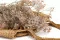 Preserved Gypsophila Dusty Rose 4