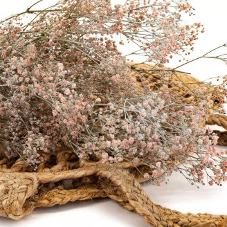 Gipsofila preservada Rosa Empolvado