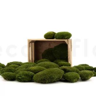 Muschio a Sfera stabilizzato Nature Green (Cartone sfuso)