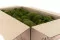 Preserved Ball Moss Nature Green (Bulk Box) 3