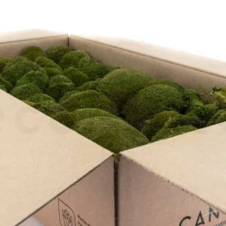 Mousse Boule Nature Green stabilis&eacute;e (Carton)