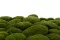 Muschio a Sfera stabilizzato Nature Green (Cartone sfuso) 1