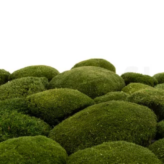 Musgo Bola preservado Nature Green (Cart&oacute;n a granel)