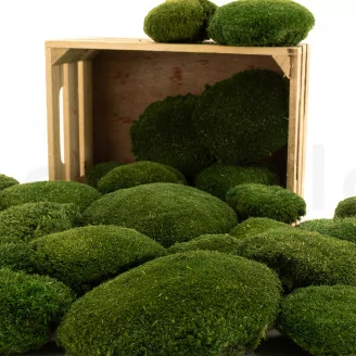 Muschio a Sfera stabilizzato Nature Green (Cartone sfuso)
