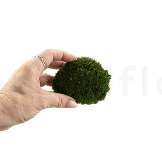 Muschio a Sfera stabilizzato Nature Green (Cartone sfuso)