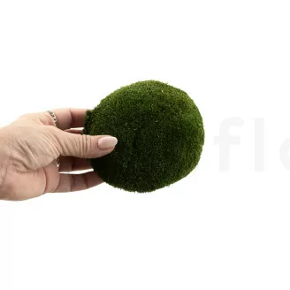 Preserved Ball Moss Nature Green (Bulk Box)
