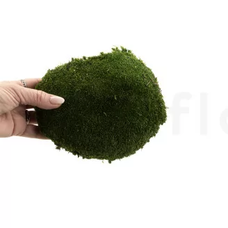 Preserved Ball Moss Nature Green (Bulk Box)