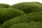 Mousse Boule Nature Green stabilis&eacute;e (Carton) 10