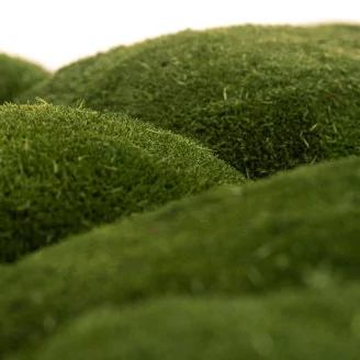 Muschio a Sfera stabilizzato Nature Green (Cartone sfuso)
