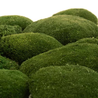 Muschio a Sfera stabilizzato Nature Green (Cartone sfuso)