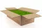 Preserved Reindeer Moss Light Green (Bulk Box) 3