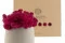 Preserved Reindeer Moss Fuchsia (Box) 3
