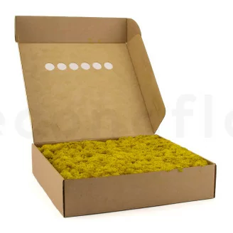Lichen stabilis&eacute; Jaune (Bo&icirc;te)