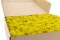 Liquen preservado Amarillo (Caja) 2