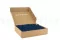 Preserved Reindeer Moss Blue (Box) 4