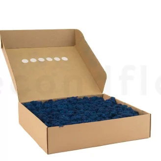 Preserved Reindeer Moss Blue (Box)